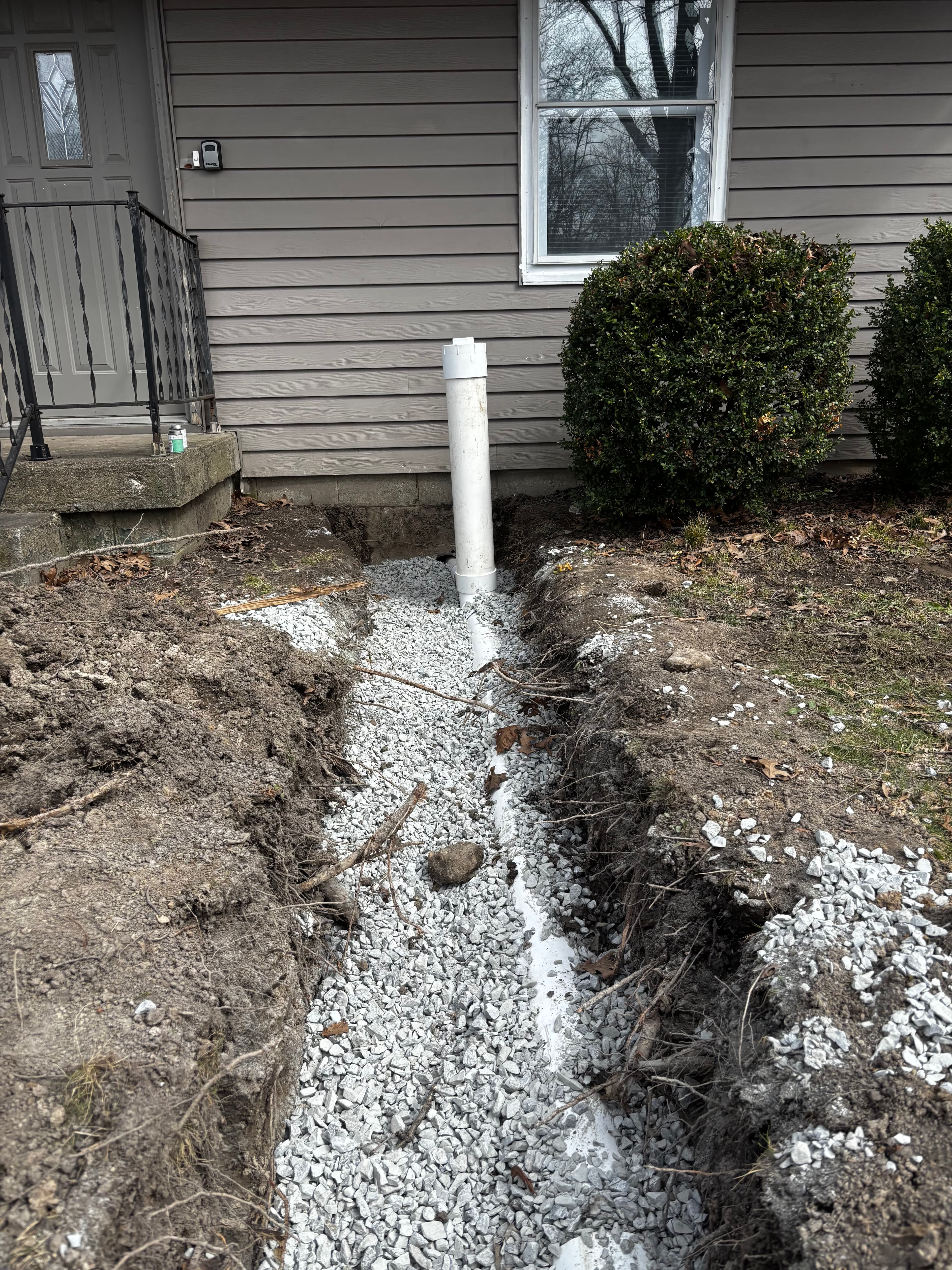Recent Got Pros project